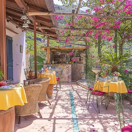 Cvm Montagnella Relax Oda ve Kahvaltı 4*