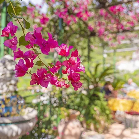 Cvm Montagnella Relax Oda ve Kahvaltı