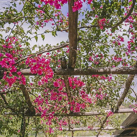 Cvm Montagnella Relax Nocleg ze śniadaniem 4*